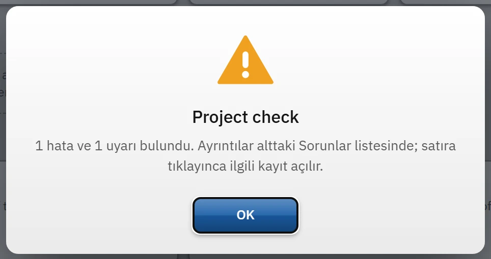 Summary window of the Project check when errors are found.