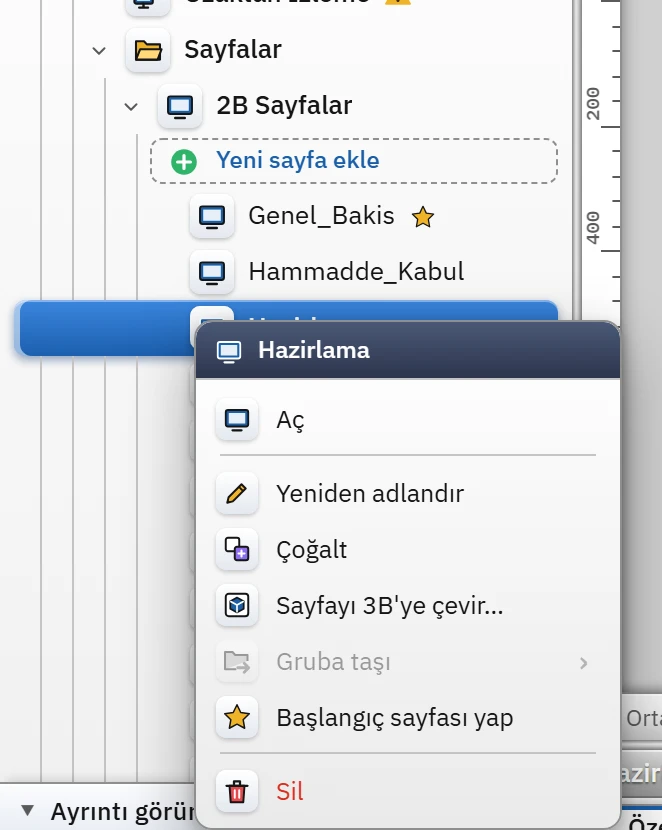 Proje gezgininde sayfanın sağ tık menüsü.