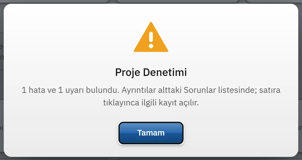 Hata bulunduğunda Proje Denetimi özet penceresi.