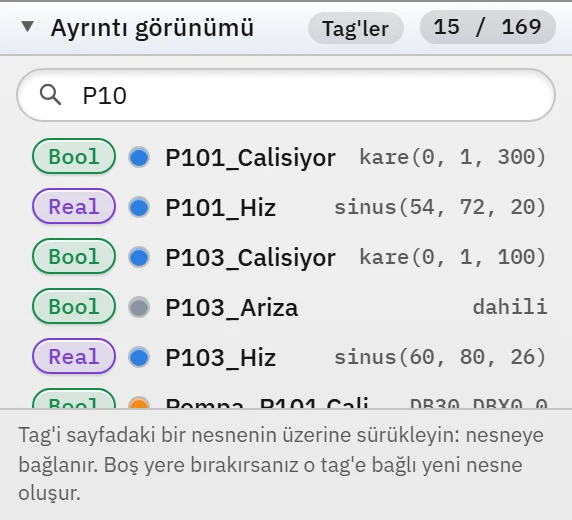 Ayrıntı görünümü: tag listesi ve arama kutusu.